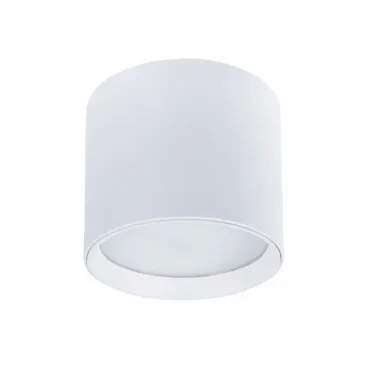 Точечный накладной светильник Arte Lamp INTERCRUS A5548PL-1WH от ImperiumLoft