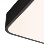 Потолочный светильник Arte Lamp SCENA A2687PL-45BK