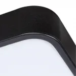 Потолочный светильник Arte Lamp SCENA A2687PL-45BK