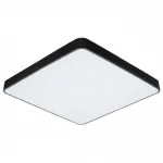 Потолочный светильник Arte Lamp SCENA A2687PL-45BK