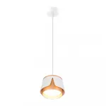 Подвесной светильник ARTE LAMP A8028SP-1WH
