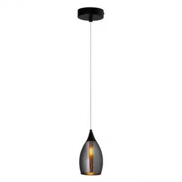 Подвесной светильник Arte Lamp BARRY A7951SP-1BK Подвесной светильник Arte Lamp BARRY A7951SP-1BK
