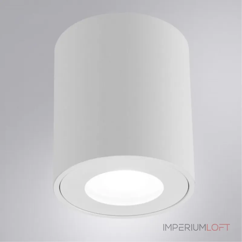 Точечный накладной светильник Arte Lamp TINO A1469PL-1WH