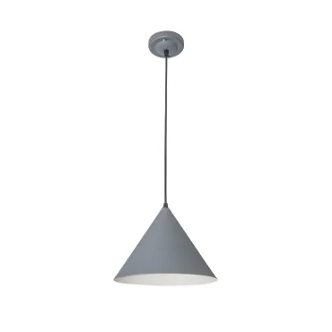 Подвесной светильник Arte Lamp LARK A7103SP-1GY