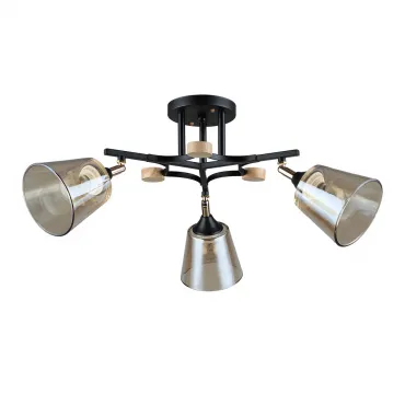 Светильник потолочный Arte Lamp GLASSY A5078PL-3BK