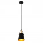 Подвесной светильник Arte Lamp THOMAS A7032SP-1BK