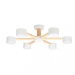 Потолочная люстра Arte Lamp TENDA A1624PL-6WH