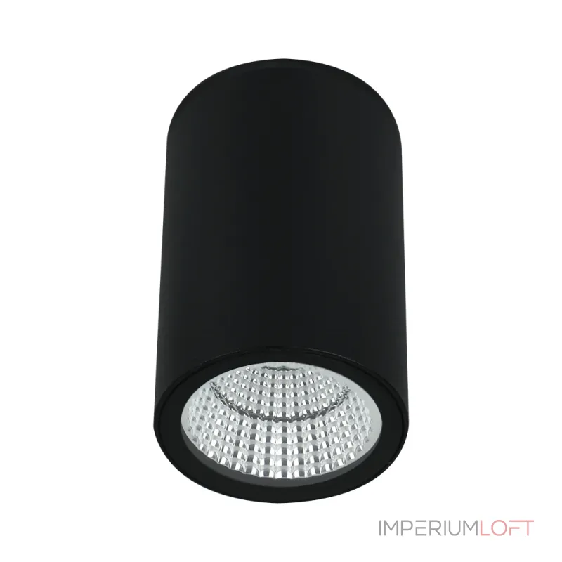 Уличный потолочный светильник Arte Lamp TORCULAR A1307PF-1BK