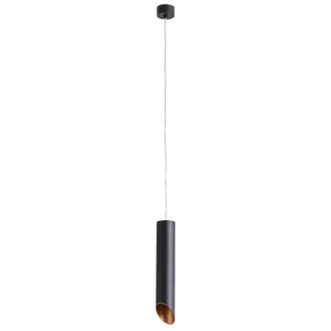 Подвесной светильник Arte Lamp Pilon-Gold A1536SP-1BK