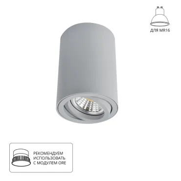 Точечный потолочный светильник Arte Lamp SENTRY A1560PL-1GY