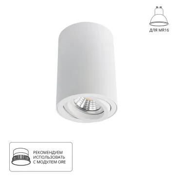 Точечный потолочный светильник Arte Lamp SENTRY A1560PL-1WH Точечный потолочный светильник Arte Lamp SENTRY A1560PL-1WH