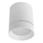 Точечный потолочный светильник Arte Lamp ELLE A1909PL-1WH