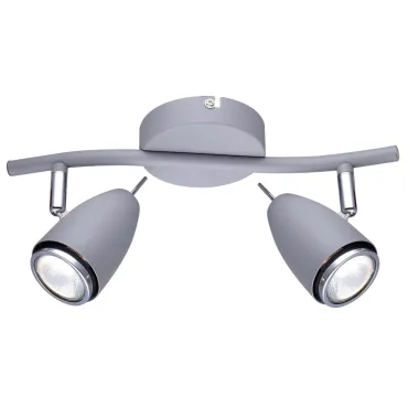 Спот Arte Lamp REGISTA A1966AP-2GY Спот Arte Lamp REGISTA A1966AP-2GY
