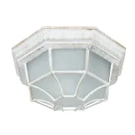 Уличный потолочный светильник Arte Lamp PEGASUS A3121PF-1WG