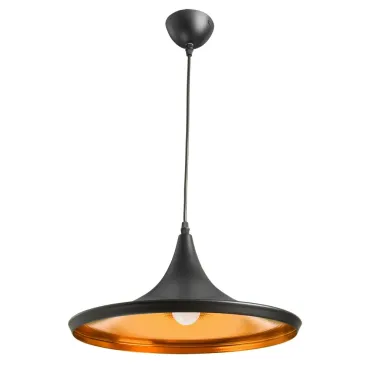 Подвесной светильник Arte Lamp Capello A3406SP-1BK 
