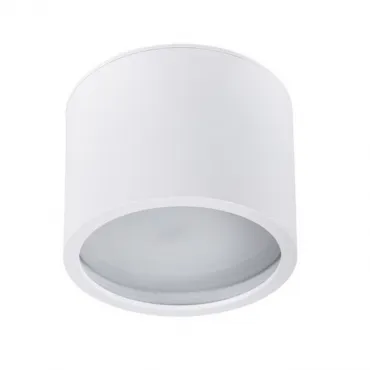 Точечный накладной светильник Arte Lamp INTERCRUS A5543PL-1WH