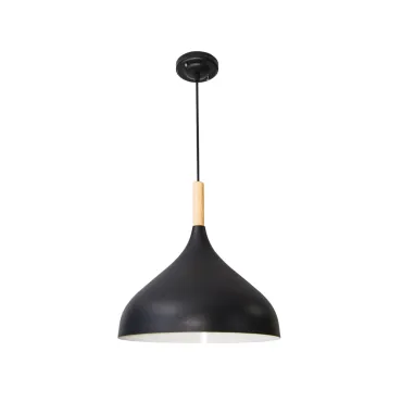Подвесной светильник Arte Lamp KAYLA A7101SP-1BK
