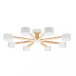 Потолочная люстра Arte Lamp TENDA A1624PL-8WH