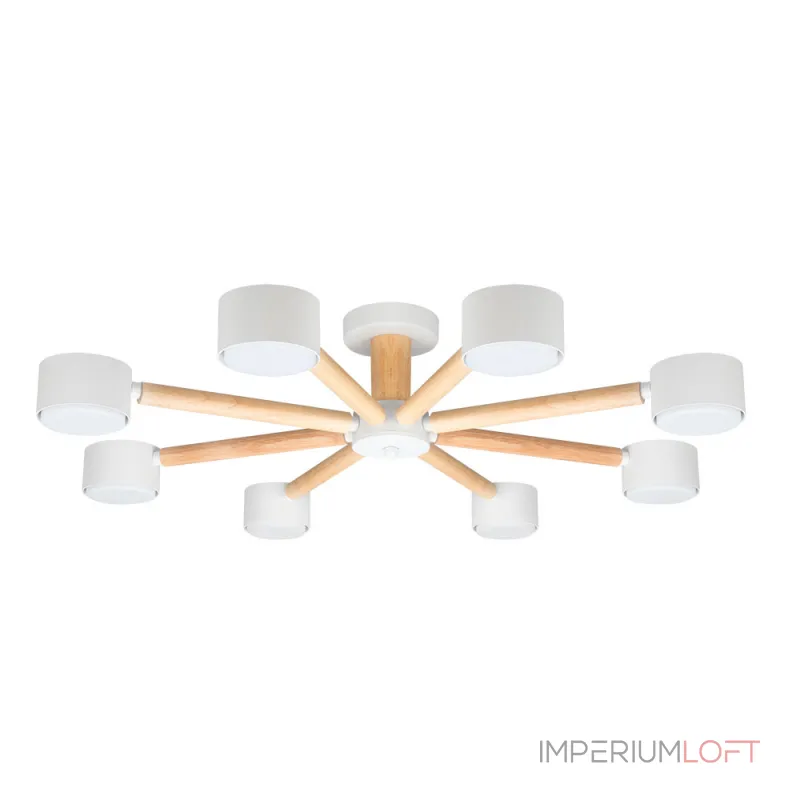 Потолочная люстра Arte Lamp TENDA A1624PL-8WH