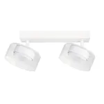 Спот Arte Lamp ALIUS A8042PL-2WH
