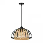 Подвесной светильник Arte Lamp WOODSTOCK A7071SP-1BK