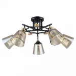 Светильник потолочный Arte Lamp GLASSY A5078PL-5BK