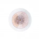 Декоративная подсветка Arte Lamp AJOUR A1259AP-1PB