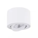 Светильник потолочный ARTE LAMP UNITO A2260PL-1WH