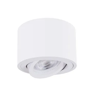 Светильник потолочный ARTE LAMP UNITO A2260PL-1WH