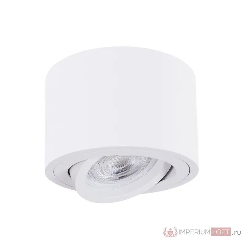 Светильник потолочный ARTE LAMP UNITO A2260PL-1WH от ImperiumLoft