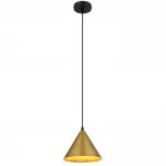 Подвесной светильник Arte Lamp DAVID A7033SP-1BK от ImperiumLoft