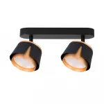Светильник потолочный ARTE LAMP A8028PL-2BK