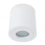 Светильник потолочный Divinare GALOPIN 1460/03 PL-1