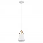 Подвесной светильник Arte Lamp THOMAS A7032SP-1WH