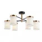 Светильник потолочный ARTE LAMP MODELLO A4099PL-6BK