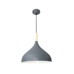 Подвесной светильник Arte Lamp KAYLA A7101SP-1GY