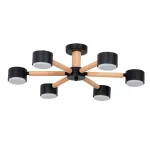 Потолочная люстра Arte Lamp TENDA A1624PL-6BK