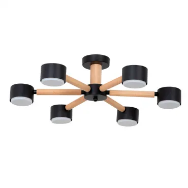 Потолочная люстра Arte Lamp TENDA A1624PL-6BK