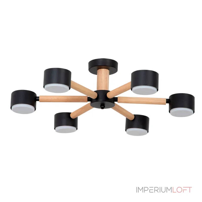 Потолочная люстра Arte Lamp TENDA A1624PL-6BK