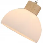 Подвесной светильник Arte lamp CAPRICEA4184SP-1BR