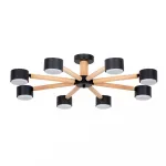Потолочная люстра Arte Lamp TENDA A1624PL-8BK