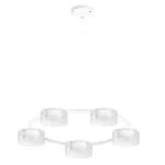 Подвесная люстра Arte Lamp ALIUS A8042SP-5WH