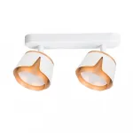 Светильник потолочный ARTE LAMP A8028PL-2WH