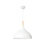 Подвесной светильник Arte Lamp KAYLA A7101SP-1WH
