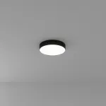 Светильники потолочные Arte Lamp FADO A6635PL-1BK