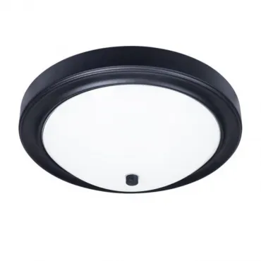 Потолочный светильник Arte Lamp JAMES A4049PL-3BK