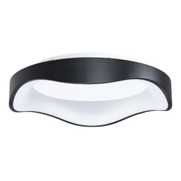 Потолочный светильник Arte Lamp ANKAA A3085PL-48BK