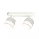 Светильник потолочный ARTE LAMP A8031PL-2WH
