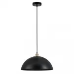 Подвесной светильник Arte Lamp CAPPELLO A7056SP-1BK