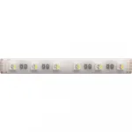 Светодиодная лента 24V 14,4W/m RGB+W 3100К 5м Arte Lamp AQUA TAPE A2406012-04-RGB3K